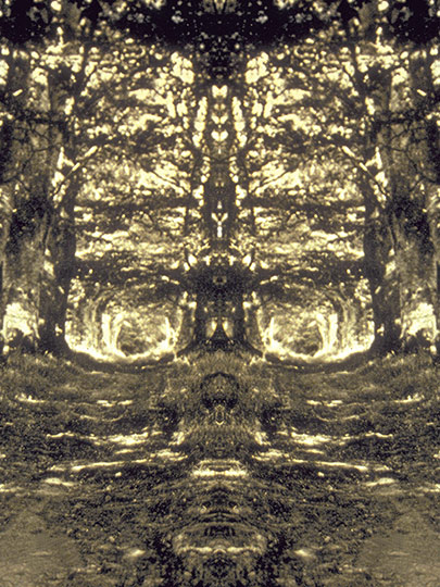 Forest Spirits no. 3