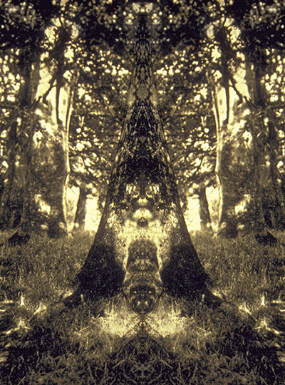 Forest Spirits no. 12